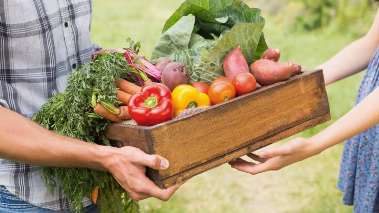 Saumurois. L’agglomération veut promouvoir l’agriculture et l’alimentation locales avec un festival et un site internet