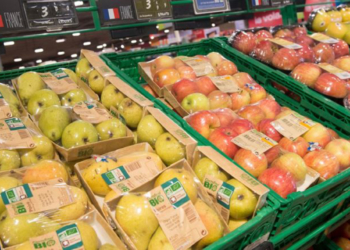 Dossier. Fin des emballages plastiques pour les fruits et légumes. Une décision « politique » ?