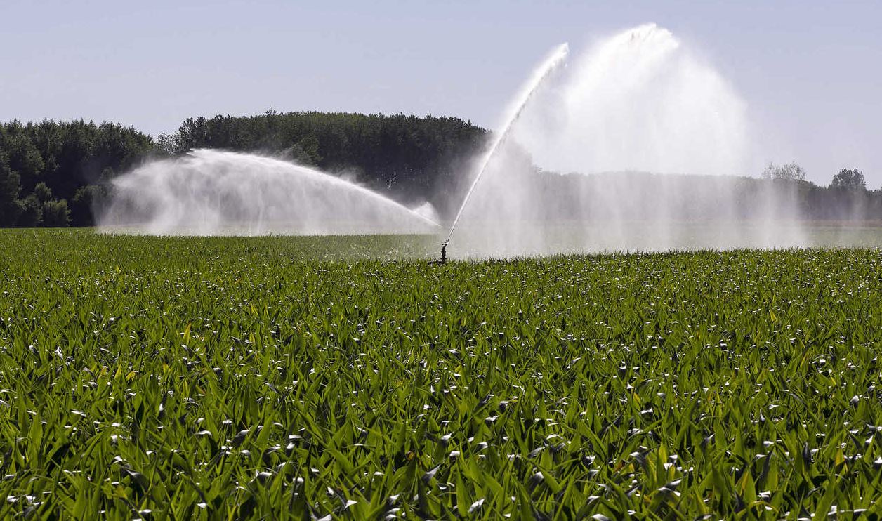 Pays de la Loire. Eté et hiver secs, « ressources en eau à la peine » alerte la chambre d’agriculture