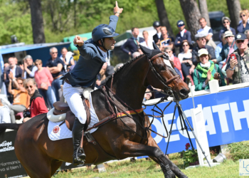 CCI 4*-L de Saumur Complet : Astier Nicolas, de bout en bout !