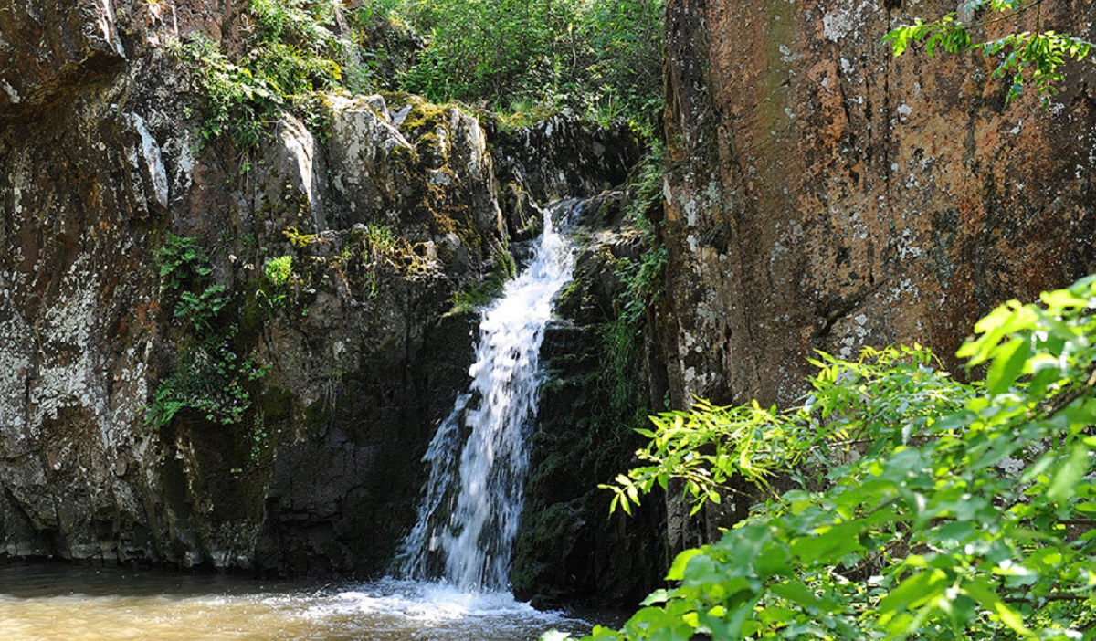 Thouarsais. Environnement : Le Vallée du Pressoir davantage protégée avec son classement en Réserve Naturelle Régionale