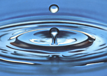 Changement climatique, canicule, des conseils pour préserver l’eau…