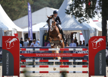 Equitation. Un cheval saumurois dans les 30 meilleurs étalons français