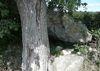 18 septembre à Noyant-Village. Archéologie : Une rando-conférence sur les mégalithes