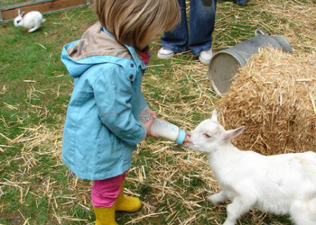 5 octobre à Saumur : La ferme de Tiligolo au centre Jacques Percereau
