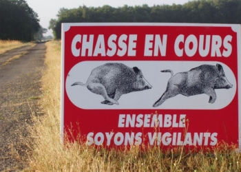 Saumurois. Chasse : « Promeneurs et chasseurs doivent pouvoir vivre ensemble », selon Jackie Goulet