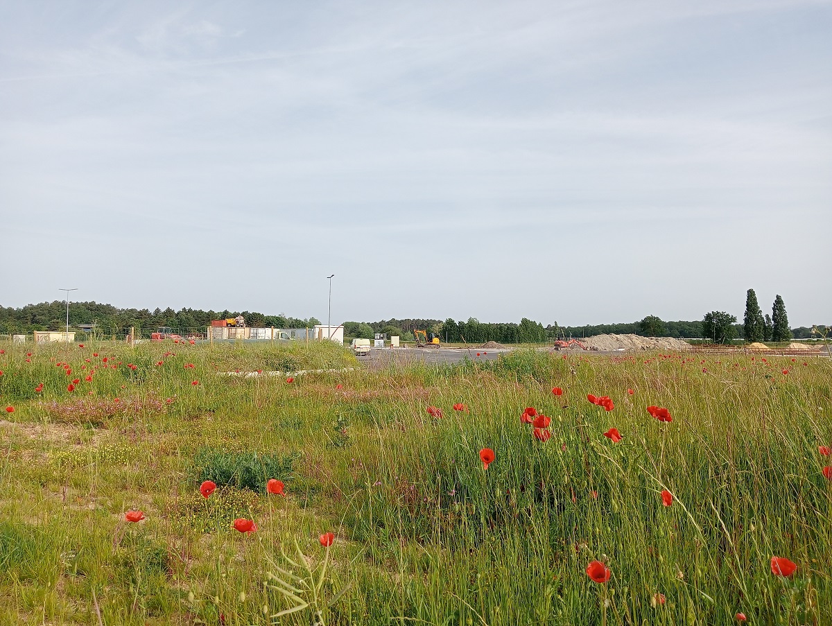 Longué-Jumelles. Un site industriel destiné à la production du Quinoa d’Anjou