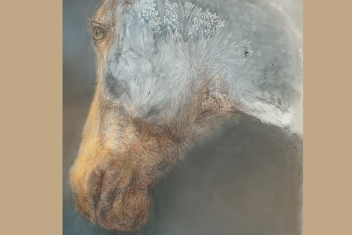 Saumur. Archeval 2023 : Une nouvelle exposition et un événement « écoliers saumurois »