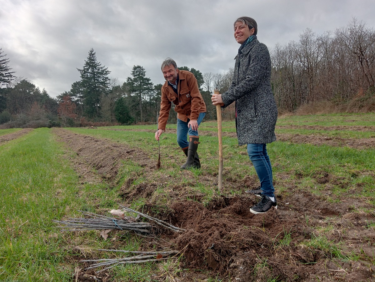 Gennes-Val de Loire. Environnement : Un terrain d’activité économique transformé en forêt