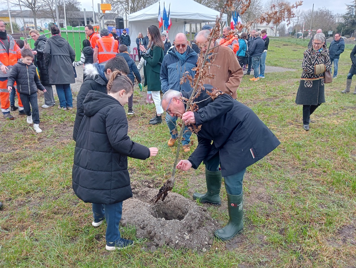 Bagneux. 200 arbres vont être plantés sur les plaines du Thouet