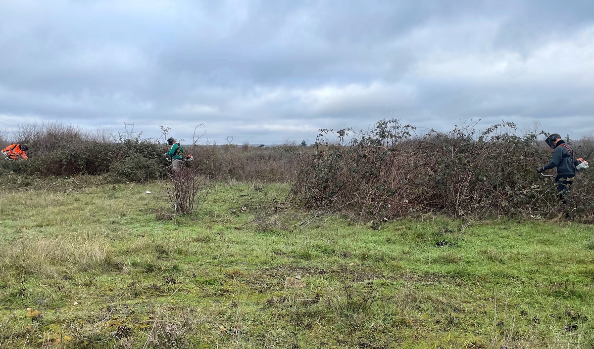 Montreuil-Bellay. La Réserve naturelle régionale de la Champagne de Méron une zone à entretenir et préserver