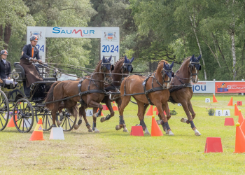 Verrie. Saumur Attelage revient pour une 41e édition dans une semaine
