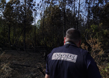 Maine-et-Loire. Après les incendies, ces gendarmes suivent les traces laissées par le feu pour en trouver l&rsquo;origine