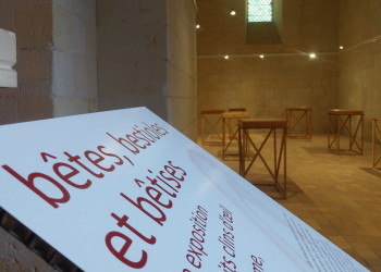 Gennes-Val de Loire. La très petite exposition « Bêtes, bestioles et bêtises » s&rsquo;installe dans les murs de Saint-Eusèbe