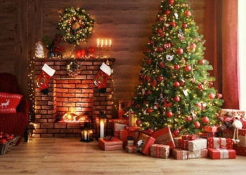 Saumur Val de Loire. Donnez une seconde vie à vos sapins jusqu’au 11 janvier