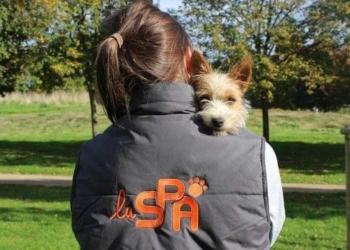 Météo du jeudi 20 janvier. Le bilan de l’année 2021 de a SPA