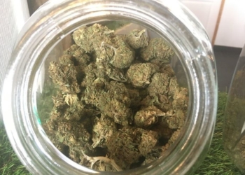 Les magasins de CBD menacés par un arrêté du Gouvernement ? Les commerçants inquiets et agacés