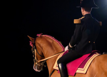 9 avril à Saumur-Saint-Hilaire-Saint-Florent : Les Matinales du Cadre Noir