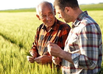 Maine-et-Loire. La chambre d’agriculture recherche des agriculteurs pour évaluer les porteurs de projet