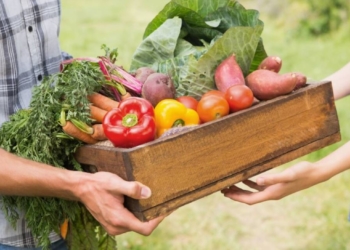 Deux-Sèvres. Le Département lance une enquête sur les habitudes de consommation des habitants