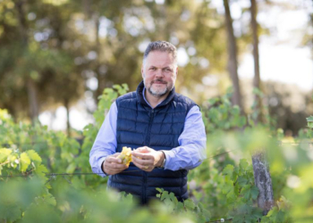 Biodiversité : 30 hectares certifiés en agriculture biologique chez Langlois-Chateau
