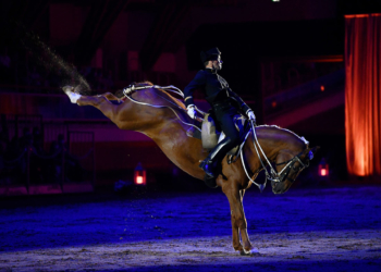 Saumur. Le Cadre Noir lance sa saison touristique le 7 février