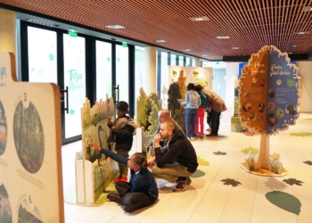 Montsoreau. Pendant les vacances, faites le plein d’animations avec le Parc Naturel Régional