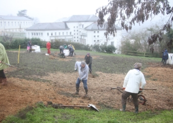 Château de Saumur. Des copeaux de bois pour faire pousser la micro-forêt
