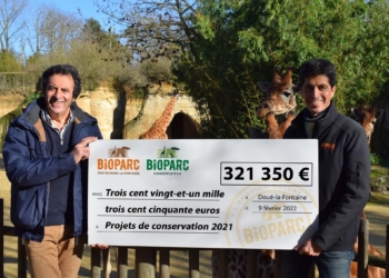 Doué-en-Anjou. Le Bioparc, acteur majeur de la protection des animaux dans le monde