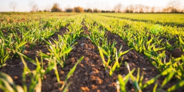 Jeudi 3 mars à Distré. Un forum pour sauver l’agriculture en Saumurois