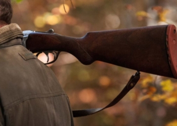 Dossier. Nouveau système d’information sur les armes : ce qu’il faut savoir avant le 8 février