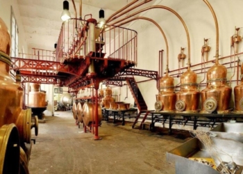 Salon de l’agriculture à Paris : l’Anjou, terre des spiritueux