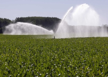 Deux-Sèvres. Des mesures de restriction des usages de l’eau  