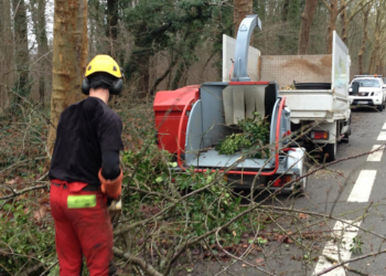 St Lambert des Levées. Travaux d’élagage avenue des Fusillés du 28 février au 4 mars. Restriction de circulation