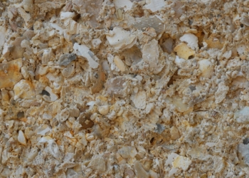 25 février à Doué-en-Anjou : Il était une fois le falun…