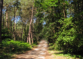 Saumurois. En Mars, la nature à la portée des plus petits