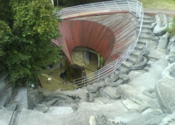 Gennes-Val de Loire. L’hélice Terrestre de l’Orbière poursuit sa restauration progressive