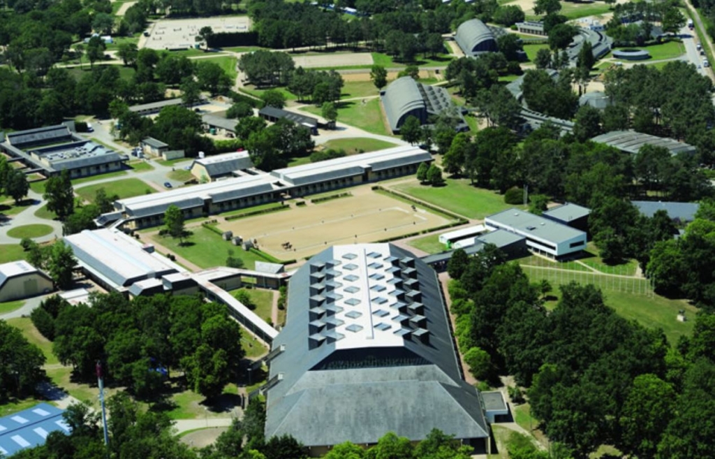 Saumur. L’IFCE accueillera un grand salon des sciences et innovations équines en juin