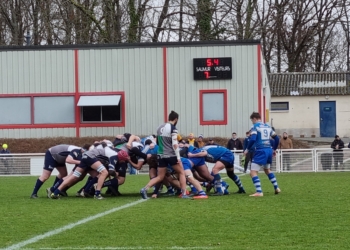 Rugby : Saumur vient à bout d’Ancenis 35-17