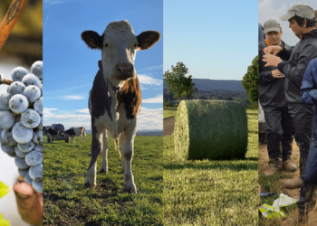 Noyant-Villages. Une action à destination des demandeurs d’emploi dans l’agriculture