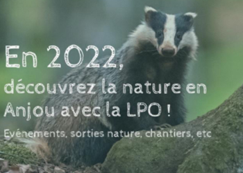 Découvrir et apprendre : Le programme annuel des sorties nature 2022 de la LPO Anjou est lancé !