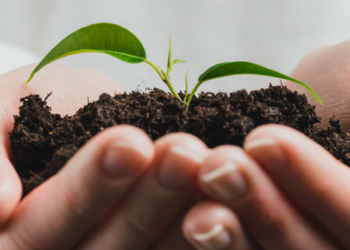 Qualité de vie : l’Agglo saumuroise interroge les habitants