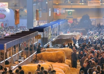 Les Pays de la Loire au rendez-vous du Salon International de l’agriculture à Paris