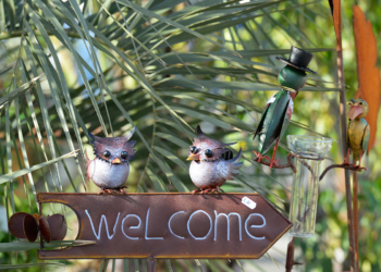 18, 19 et 20 mars à Saumur : Faites le plein d’idées et de solutions au Salon Habitat & Jardin