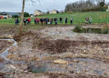 Vienne en Chinonais et Loudunais : « Aucun cours d’eau n’est en bon état écologique »