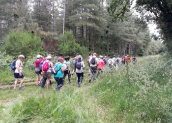10 avril à Jumelles : Randonnée pédestre
