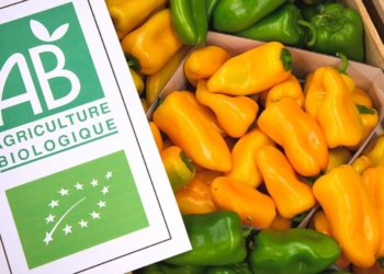 Météo du jeudi 3 mars. Les produits bio comme solution pour sécuriser les agriculteurs