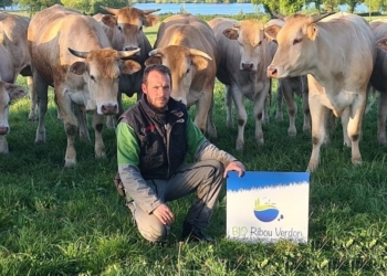 Carrefour Market de Distré : De la viande d’exception bio et locale