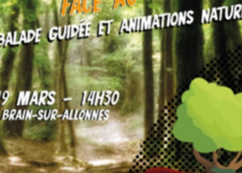 19 mars à Brain-sur-Allonnes : Les super-héros de la forêt face au climat
