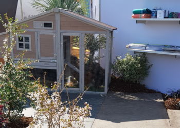 Saumur. Salon Habitat & Jardin : le jardin, véritable pièce de vie